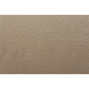 Alchemy Taupe Fabric Fryetts