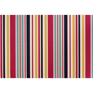 Roseland Stripe Carnival Fabric Fryetts