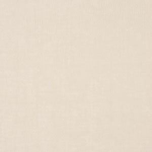 Gleam Ivory Sheer Fabric Prestigious Textiles