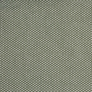 Hattie Olive Fabric Prestigious Textiles