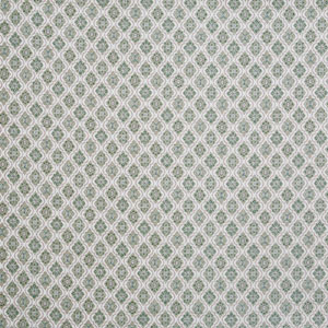 Salina Lichen Fabric Prestigious Textiles