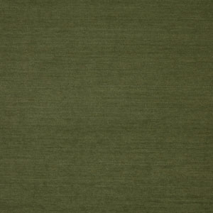 Snowdon Chenille Moss 7240 634 Fabric Prestigious Textiles