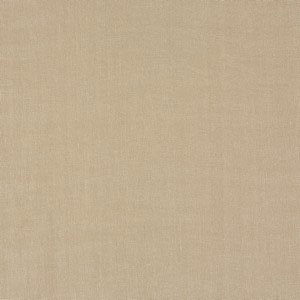 Taboo Canvas Fabric Prestigious Textiles