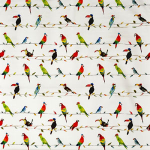 Toucan Talk Paintbox Fabric Prestigious Textiles