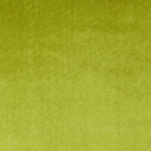 Velour Velvet Grass Fabric Prestigious Textiles