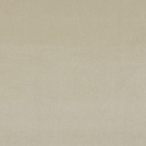 Velour Velvet Ivory Fabric Prestigious Textiles