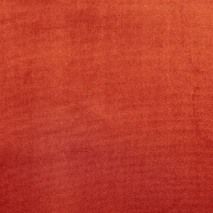 Velour Velvet Oxblood Fabric Prestigious Textiles