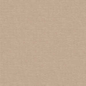 Esala Raffia 133792 Fabric Scion Living