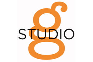 Studio G from Clarke and Clarke